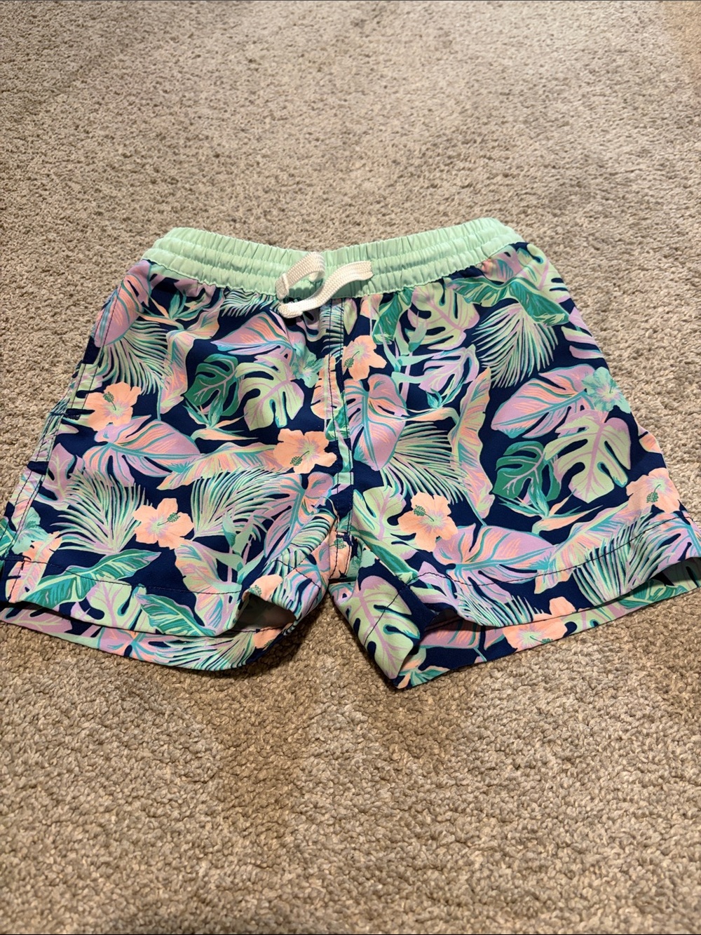 Chubbies Swimsuit